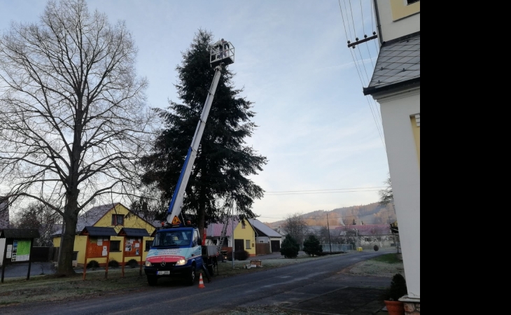 Rizikove_kaceni_stromu_elektoplosiny.jpg