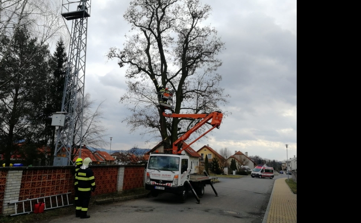 Rizikove_kaceni_stromu_elektro-plosiny_Schreiber.jpg