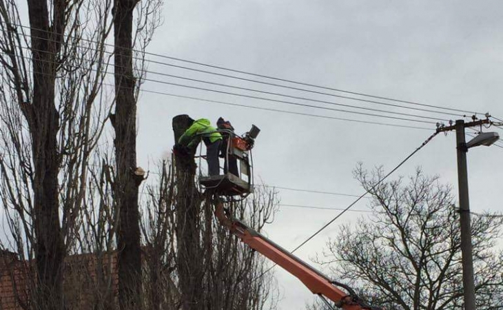 Elektro-plosiny_pronajem_plosin_kaceni_stromu.jpg